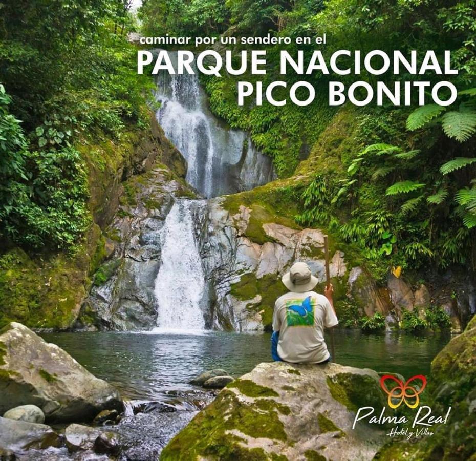 Paradise Villa In Palma Real La Ceiba Buitenkant foto
